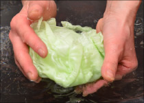How to make lettuce4-2