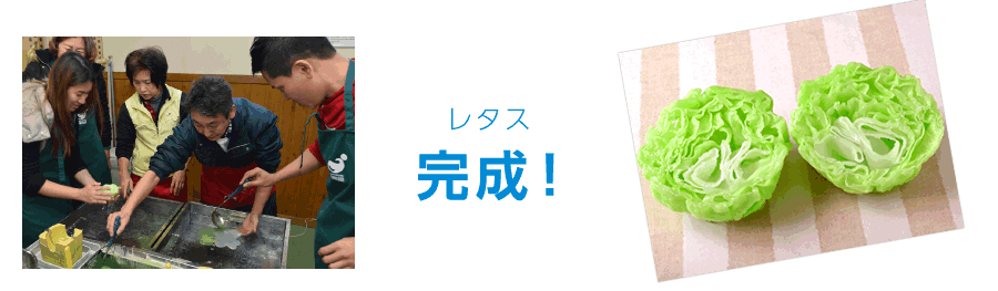レタス完成!