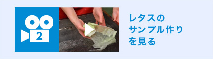 レタスのサンプル作りを見る